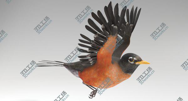 images/goods_img/20210312/3D Robin Animated/1.jpg
